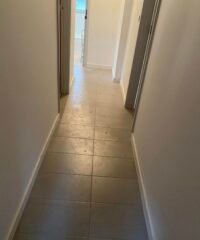 492576578_1236343338491814_8386119415410255744_n