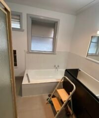 494075006_1236343158491832_7833489886296831273_n