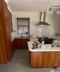 494149056_1236343155158499_6996627133345305227_n