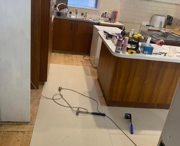 494149081_1236343311825150_6759782027082770163_n